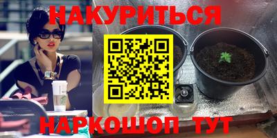 ПСИЛОЦИБИНОВЫЕ ГРИБЫ Краснодар